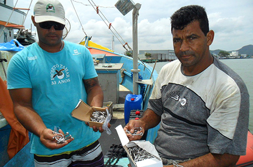 Tamar propõe norma para proteção de tartarugas marinhas na pesca oceânica